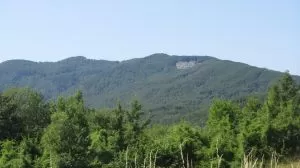 Trail della Val Cenedola 2018