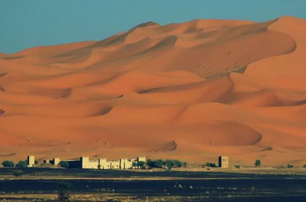 Dune Marathon. Run in the Desert 2022
