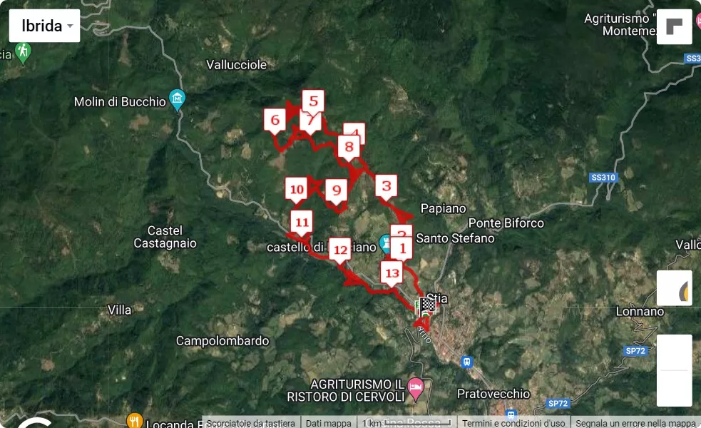 13° Trail del Falterona, mappa percorso gara 14 km